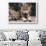 Spring Wolf Pups-Art Wolfe-Giclee Print displayed on a wall