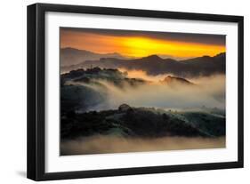 Spring Wonderland, East Bay, San Francisco, Mount Diablo-Vincent James-Framed Photographic Print