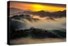 Spring Wonderland, East Bay, San Francisco, Mount Diablo-Vincent James-Stretched Canvas