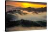 Spring Wonderland, East Bay, San Francisco, Mount Diablo-Vincent James-Stretched Canvas