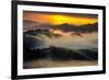 Spring Wonderland, East Bay, San Francisco, Mount Diablo-Vincent James-Framed Photographic Print