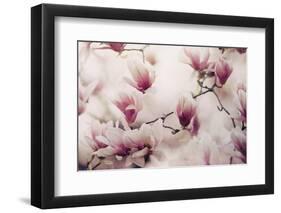 Spring Wonderland-Tracey Telek-Framed Photographic Print