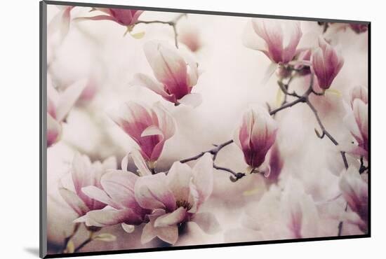 Spring Wonderland-Tracey Telek-Mounted Photographic Print