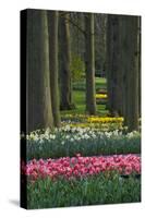 Spring woodland garden with tulips and daffodils-Anna Miller-Stretched Canvas