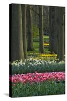 Spring woodland garden with tulips and daffodils-Anna Miller-Stretched Canvas