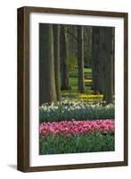 Spring woodland garden with tulips and daffodils-Anna Miller-Framed Photographic Print