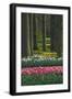 Spring woodland garden with tulips and daffodils-Anna Miller-Framed Photographic Print