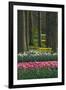 Spring woodland garden with tulips and daffodils-Anna Miller-Framed Photographic Print