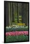 Spring woodland garden with tulips and daffodils-Anna Miller-Framed Photographic Print