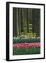 Spring woodland garden with tulips and daffodils-Anna Miller-Framed Photographic Print
