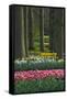Spring woodland garden with tulips and daffodils-Anna Miller-Framed Stretched Canvas
