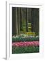 Spring woodland garden with tulips and daffodils-Anna Miller-Framed Photographic Print