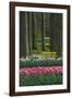 Spring woodland garden with tulips and daffodils-Anna Miller-Framed Photographic Print