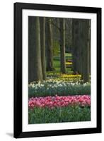 Spring woodland garden with tulips and daffodils-Anna Miller-Framed Photographic Print