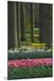 Spring woodland garden with tulips and daffodils-Anna Miller-Mounted Photographic Print