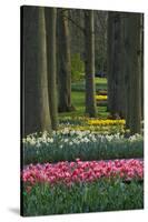 Spring woodland garden with tulips and daffodils-Anna Miller-Stretched Canvas