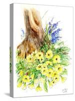 Spring Woodland-Nell Hill-Stretched Canvas