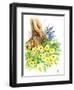 Spring Woodland-Nell Hill-Framed Giclee Print