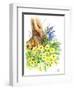 Spring Woodland-Nell Hill-Framed Giclee Print