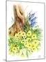 Spring Woodland-Nell Hill-Mounted Giclee Print