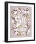 Spring Y'all-Cat Coquillette-Framed Premium Giclee Print