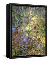 Spring Zing-Doug Chinnery-Framed Stretched Canvas