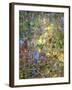 Spring Zing-Doug Chinnery-Framed Photographic Print