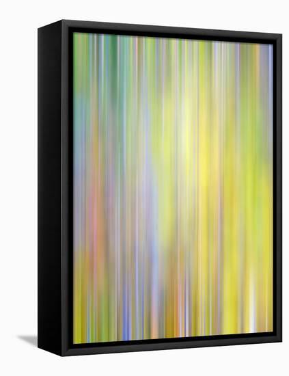 Spring Zing-Doug Chinnery-Framed Stretched Canvas