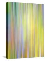 Spring Zing-Doug Chinnery-Stretched Canvas