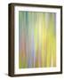 Spring Zing-Doug Chinnery-Framed Photographic Print