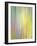 Spring Zing-Doug Chinnery-Framed Photographic Print