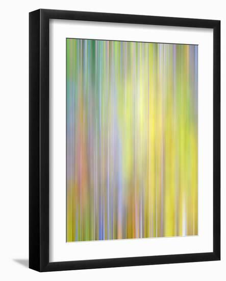 Spring Zing-Doug Chinnery-Framed Photographic Print