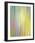 Spring Zing-Doug Chinnery-Framed Photographic Print