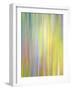 Spring Zing-Doug Chinnery-Framed Photographic Print