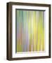 Spring Zing-Doug Chinnery-Framed Photographic Print