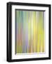 Spring Zing-Doug Chinnery-Framed Photographic Print