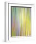 Spring Zing-Doug Chinnery-Framed Photographic Print