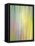 Spring Zing-Doug Chinnery-Framed Stretched Canvas