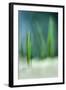 Spring-Ursula Abresch-Framed Photographic Print