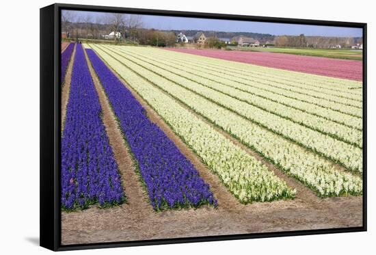 Spring-Frouwina H. van Hateren-Framed Stretched Canvas