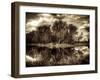 Spring-Stephen Arens-Framed Photographic Print