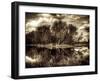 Spring-Stephen Arens-Framed Photographic Print