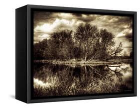 Spring-Stephen Arens-Framed Stretched Canvas