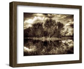 Spring-Stephen Arens-Framed Photographic Print