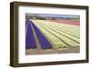 Spring-Frouwina H. van Hateren-Framed Photographic Print