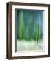 Spring-Ursula Abresch-Framed Photographic Print