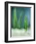 Spring-Ursula Abresch-Framed Photographic Print