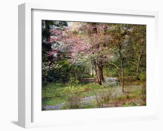 Spring-John Rivera-Framed Photographic Print