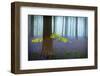 Spring...........-Piet Haaksma-Framed Photographic Print