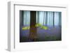 Spring...........-Piet Haaksma-Framed Photographic Print